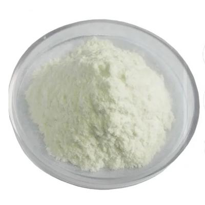 Alginate de sodium 300-500cps CAS NO.9005-38-3
    