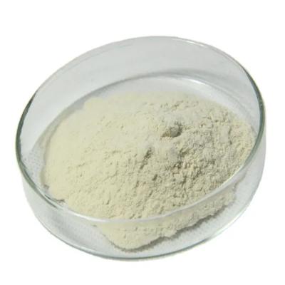 Maltodextrin DE:20-25 CAS NO.9050-36-6
    